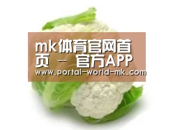 产品名称九