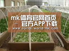 环境展示五