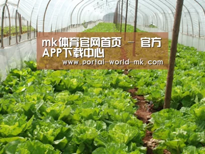 种植基地五