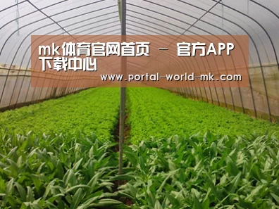 种植基地四