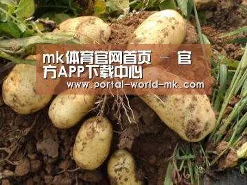 种植基地六