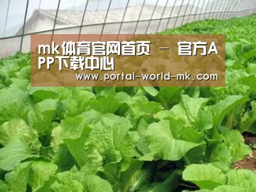 种植基地一