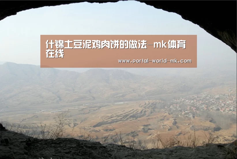 什锦土豆泥鸡肉饼的做法-mk体育在线(图1) mk体育Sports