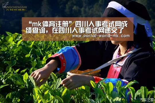 “mk体育注册”四川人事考试网成绩查询,在四川人事考试网递交了查分申请怎么看查(图1) mk体育app